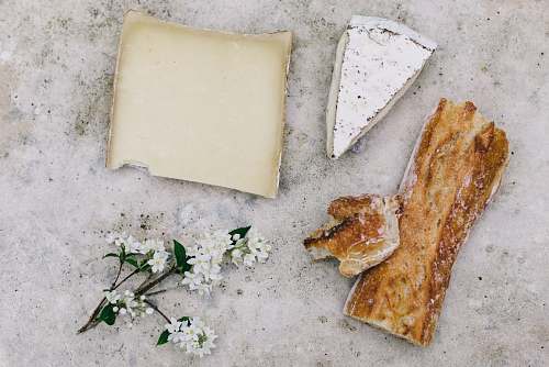 versailles sliced wood beside white petaled flower flower