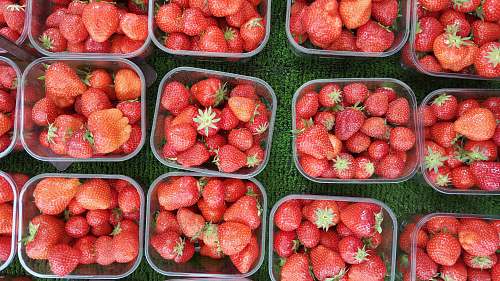 fruit strawberries in clear pack lot strawberry