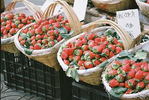 fruit strawberries inside baskets plant