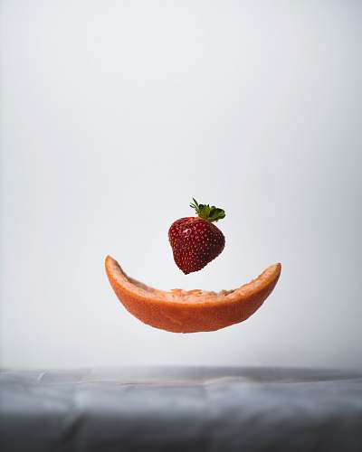 plant strawberry and melon strawberry