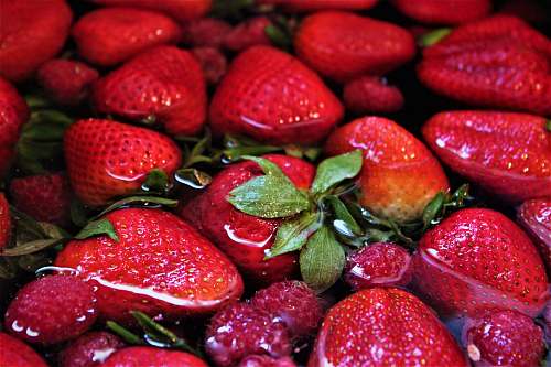 fruit strawberry fruit lot plant