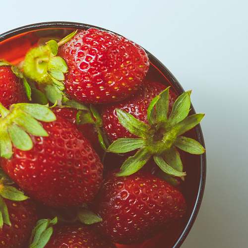plant strawberry fruits fruit