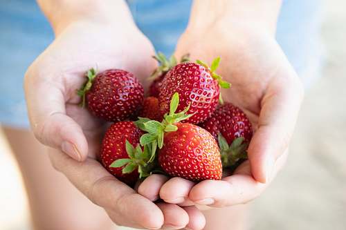 strawberry strawberry fruits fruit