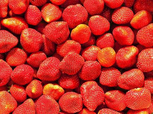 fruit strawberry lot strawberry