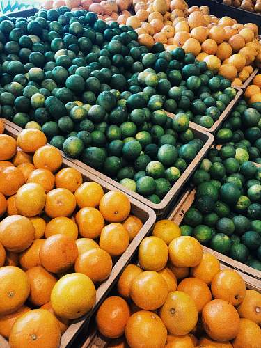 fruit tangerine and citrus fruits on display citrus fruit