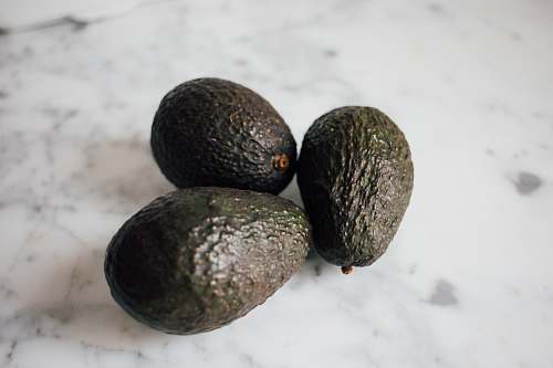 fruit three green avocados avocado