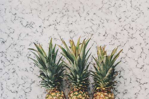 fruit three yellow pineapple fruits on white surface pineapple