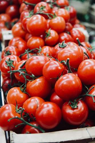 vegetable tomatoe lot flora