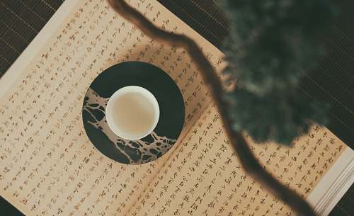 egg top angle photography of cup pottery