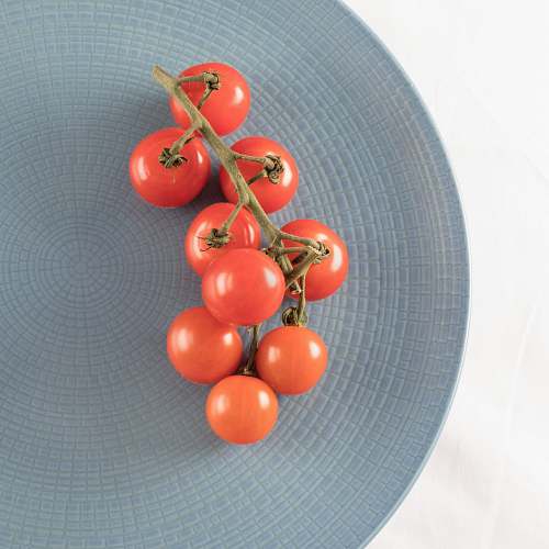 tomato top view photography of tomatoes on plate vegetable