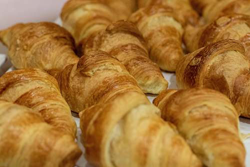 bread tray of brown croissant breads croissant