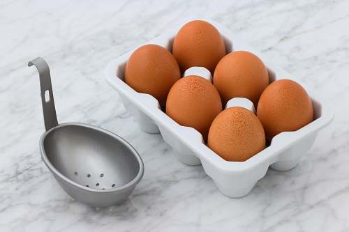 egg tray of poultry eggs bowl