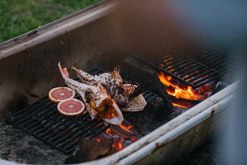 bbq two grilled fish new zealand