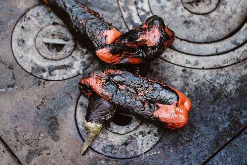 bbq two orange-and-black cooked eggplants on gray stove burnt