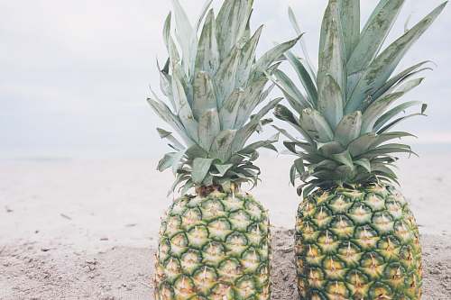 fruit two pineapple fruits pineapple