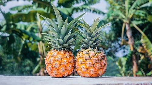 fruit two pineapple fruits on gray surface pineapple