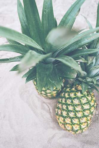 fruit two pineapples pineapple