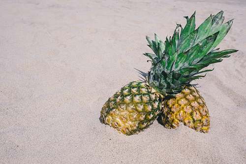 fruit two pineapples on gray sand pineapple