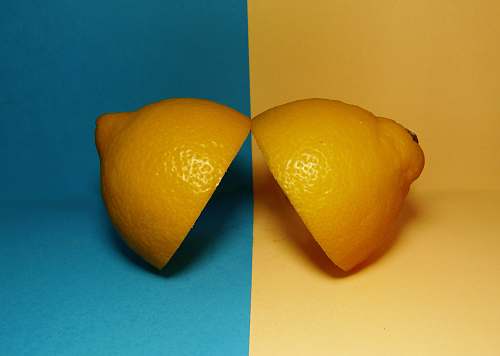 fruit two sliced lemons on surface citrus fruit