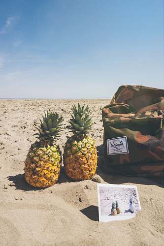 fruit two yellow pineapple fruits pineapple