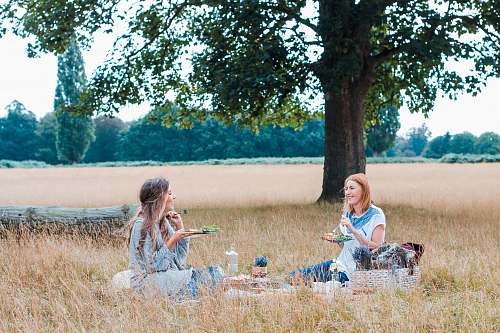 meal unknown persons sitting on brown grass vacation