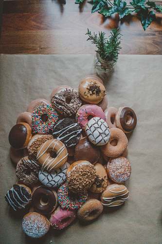 donut variety flavor of doughnuts potted plant