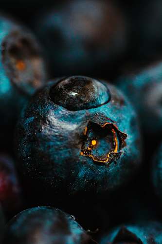 blueberry water drop on blueberry fruit