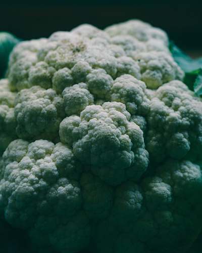 plant white cauliflower vegetable