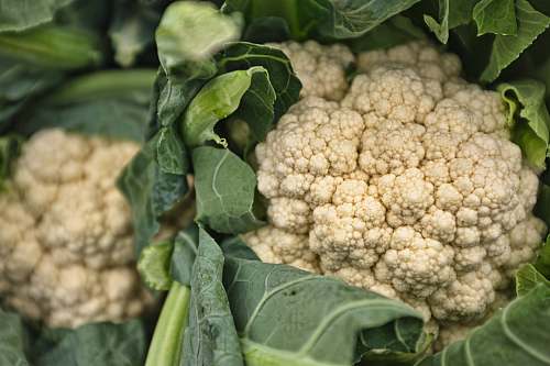 cauliflower white cauliflowers vegetable