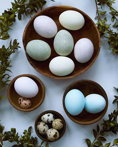 egg white eg on brown tray easter egg