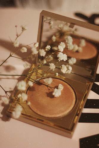confectionery white-petaled flowers on top of conceleaer sweets