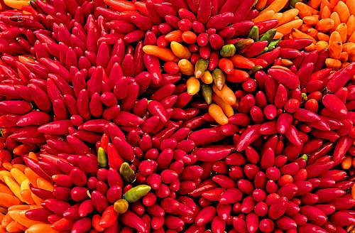 vegetable yellow and red chilis bean