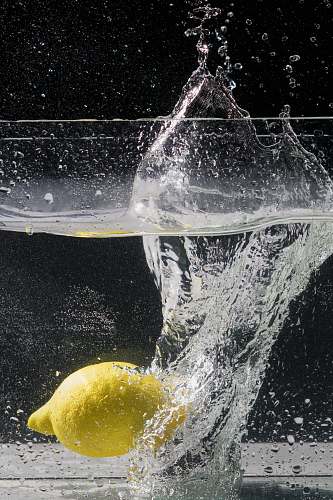fruit yellow lemon fruit underwater plant