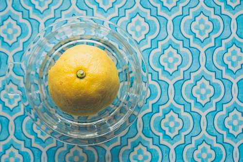 plant  citrus fruit