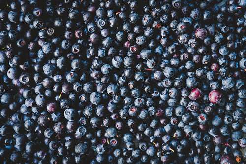 food blueberries fruit blueberry
