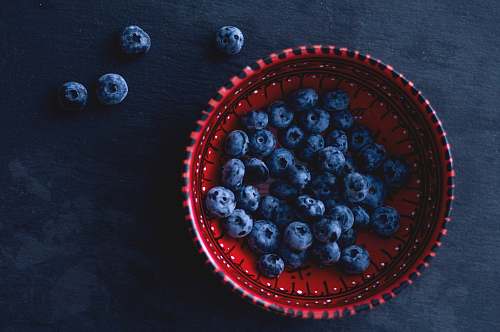 blueberry blueberries in red ceramic bowl plant