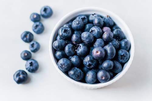 plant bowl of blueberries blueberry