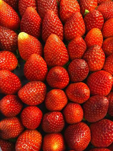plant bunch of strawberries food
