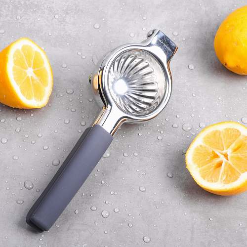 food gray fruit juicer plant