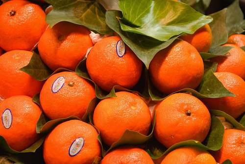 food orange fruits plant