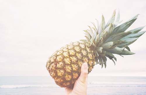 food person holding pineapple fruit pineapple