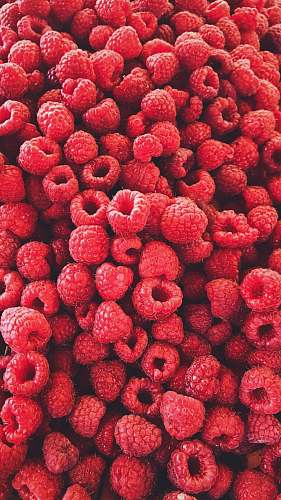 plant pile of strawberries raspberry