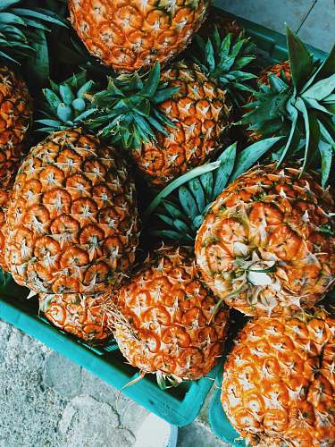 pineapple pineapple fruit plant
