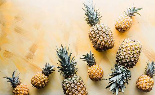 Pineapples Images Pictures In Jpg Hd Free Stock Photos