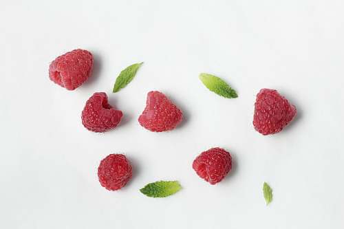 food raspberry fruits raspberry