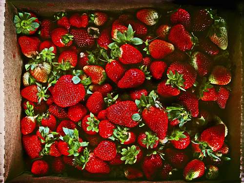 food red strawberries in brown box strawberry