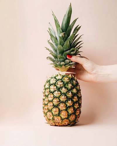 food sliced tip pineapple plant