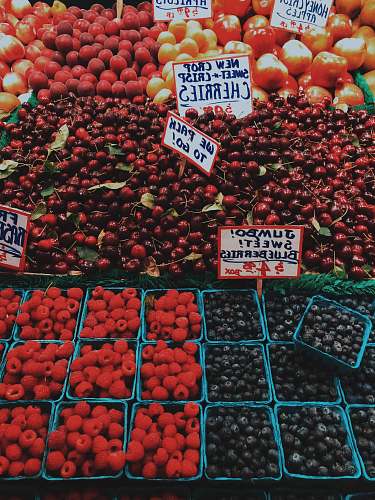 food variety of fruits blueberry