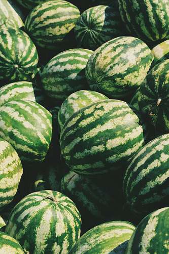 food watermelon lot produce