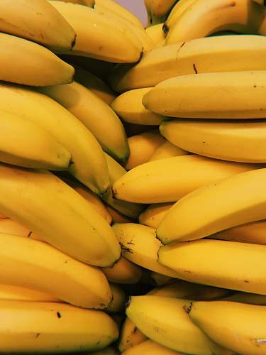 plant yellow banana fruits banana
